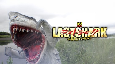 ラストシャーク 心霊調査ビッグサマー