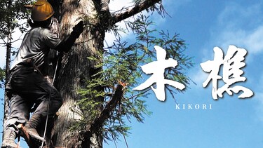 木樵（きこり）