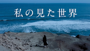 私の見た世界