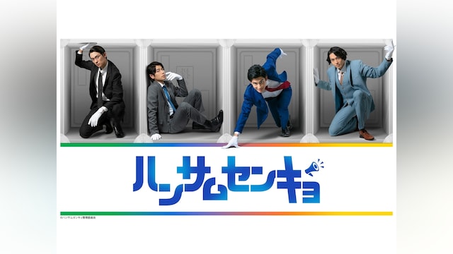 ハンサムセンキョ