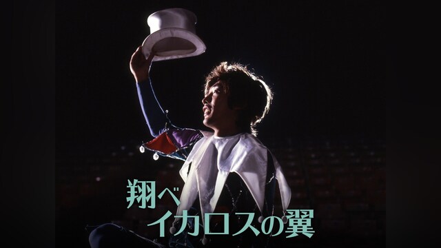 翔べイカロスの翼