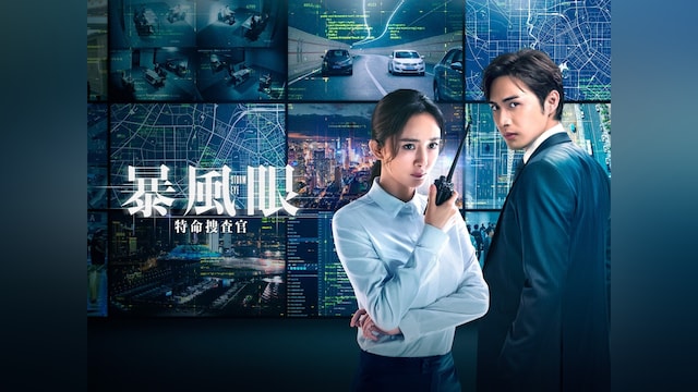 暴風眼-特命捜査官-