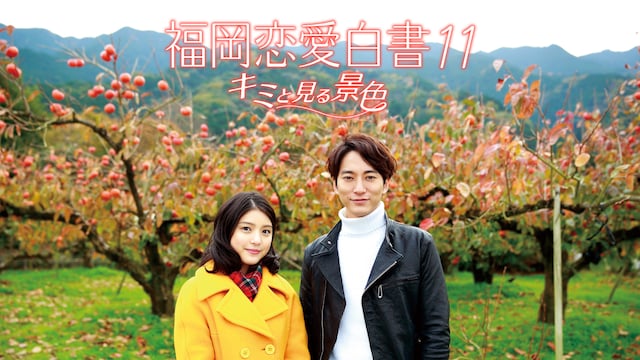 福岡恋愛白書11 キミと見る景色