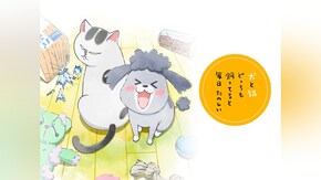 第2話~第6話