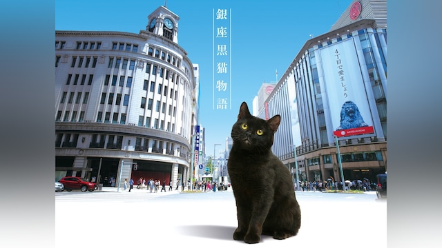 銀座黒猫物語