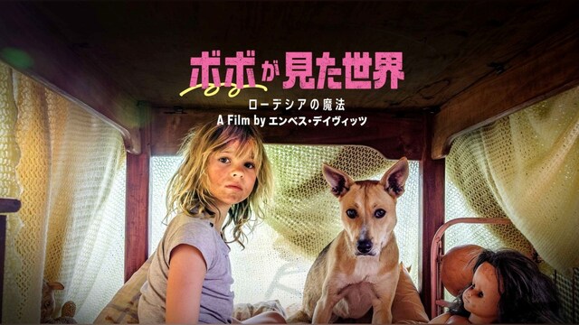 ボボが見た世界 -ローデシアの魔法-