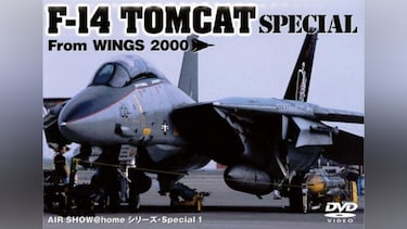 F-14 TOMCAT・SPECIAL from WINGS2000
