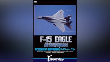 F-15 EAGLE 航空祭 Special
