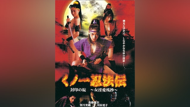 くノ一忍法伝 封印の掟 ～女淫愛残抄～