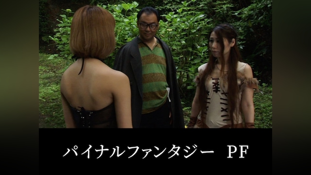 パイナルファンタジー PF