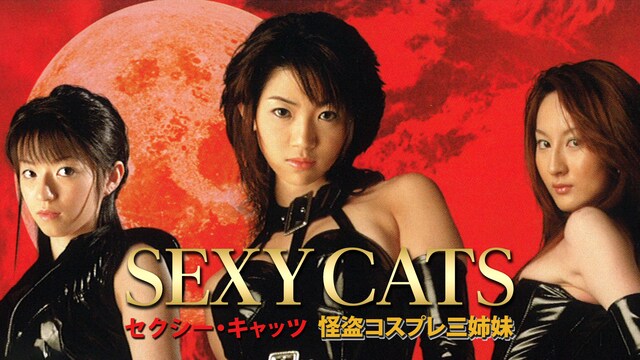 SEXYCATS　怪盗コスプレ三姉妹