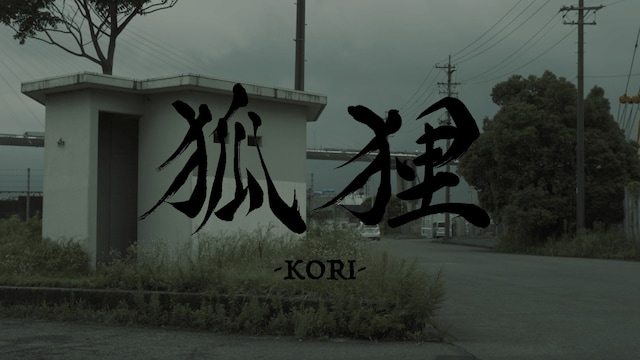 狐狸
