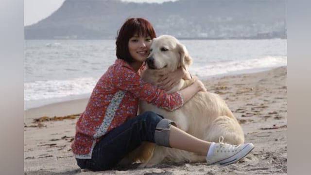 犬と私の10の約束