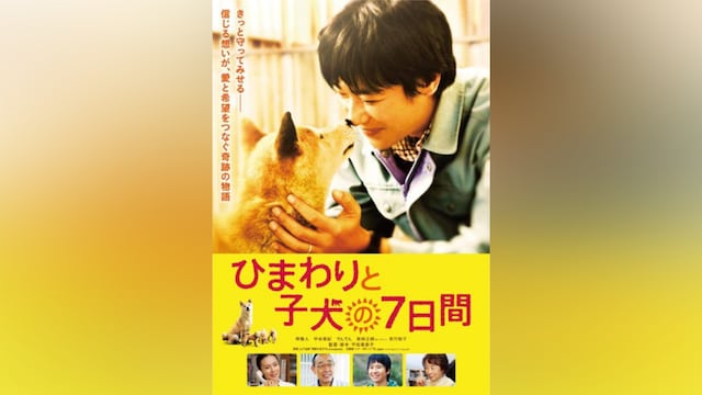 ひまわりと子犬の7日間