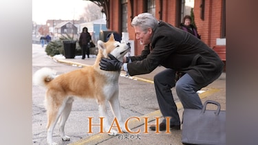 HACHI 約束の犬