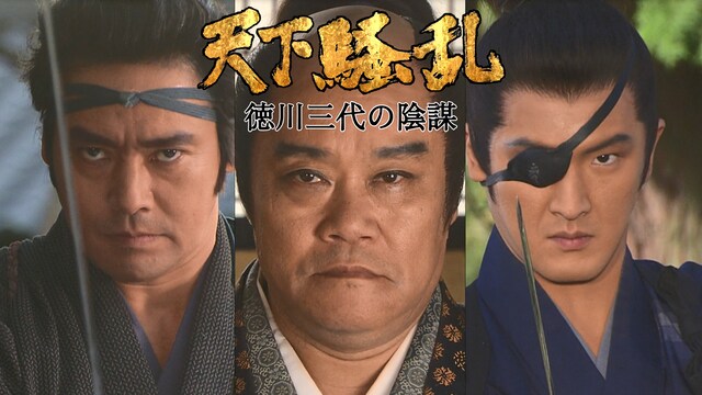 天下騒乱　徳川三代の陰謀