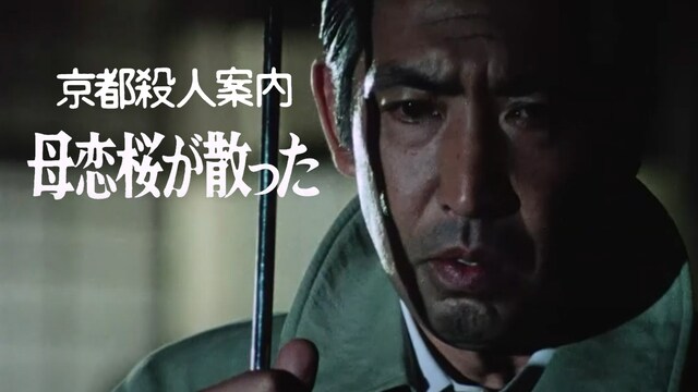 京都殺人案内　母恋桜が散った