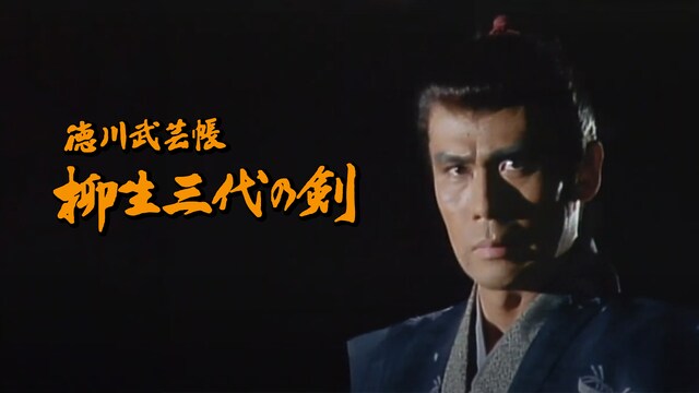 徳川武芸帳　柳生三代の剣