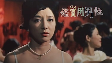 鑑賞用男性