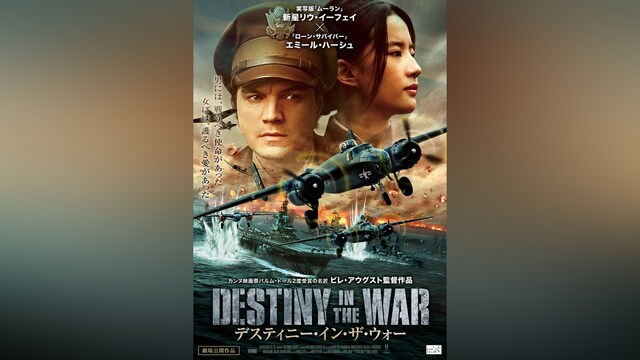 デスティニー・イン・ザ・ウォー