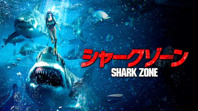 シャークゾーン