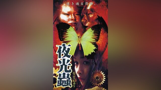 夜光蟲