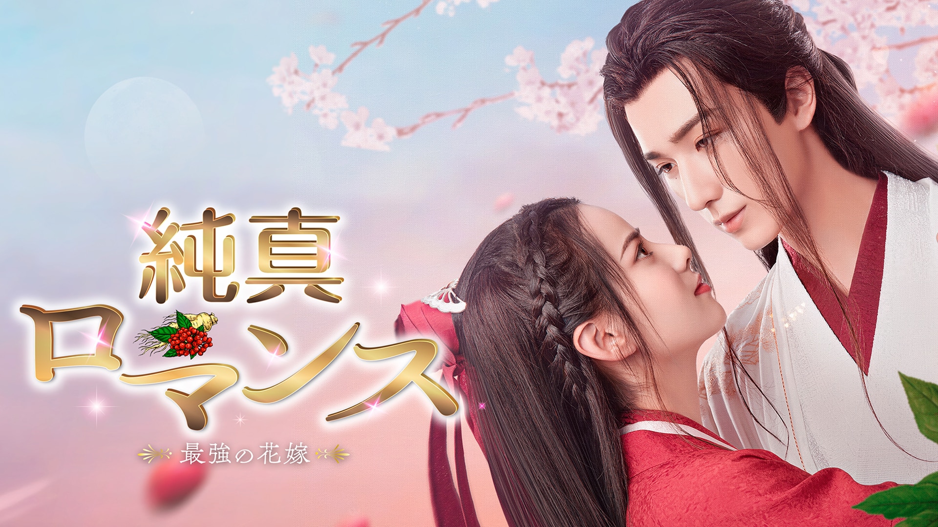 【レンタル落ち】 純真ロマンス 最強の花嫁 DVD 全11巻 中国ドラマ Wulin-Heroes.jpg.webp