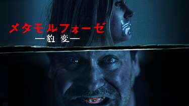 メタモルフォーゼ　豹変