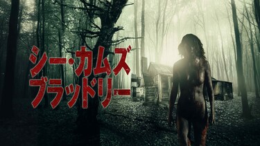 シー・カムズ・ブラッドリー