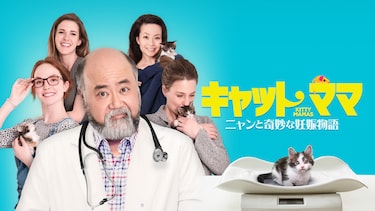 キャット・ママ　ニャンと奇妙な妊娠物語