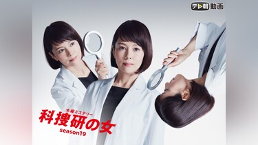 科捜研の女　season19