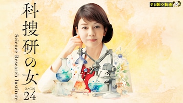 科捜研の女 season24