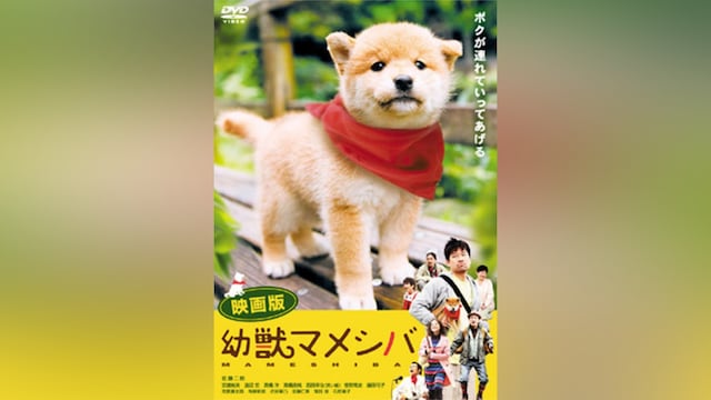 映画版 幼獣マメシバ