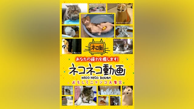 ネコネコ動画～おもしろニャンコ大集合～