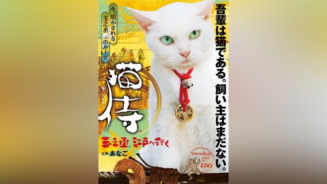 猫侍 玉之丞、江戸へ行く