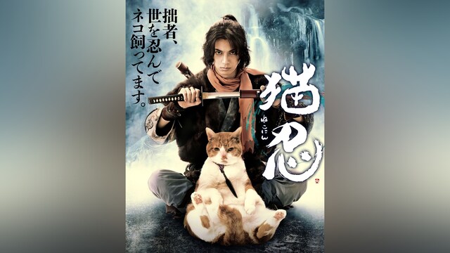 猫忍