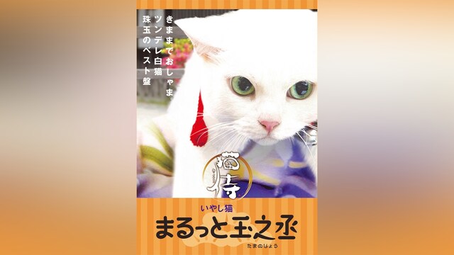 猫侍　まるっと玉之丞