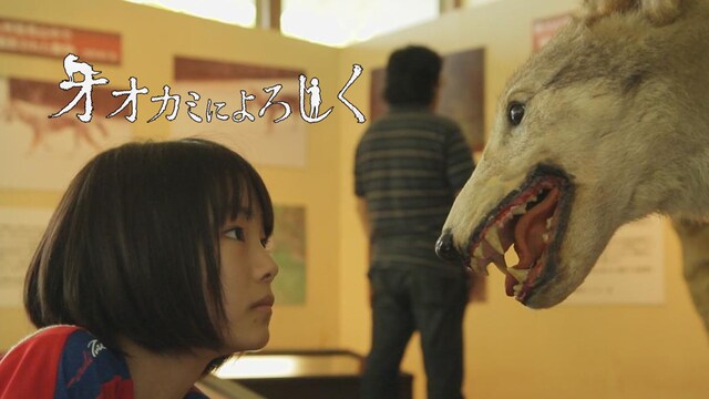 オオカミによろしく