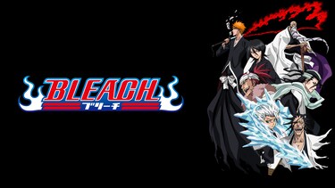 BLEACH 新隊長天貝繍助篇