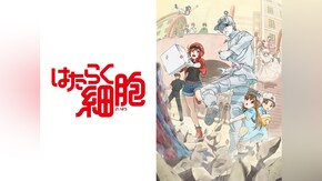 #2~#13+特別編