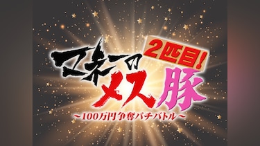 マネーのメス豚2匹目～100万円争奪パチバトル～