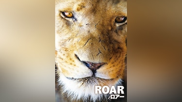 ROAR/ロアー