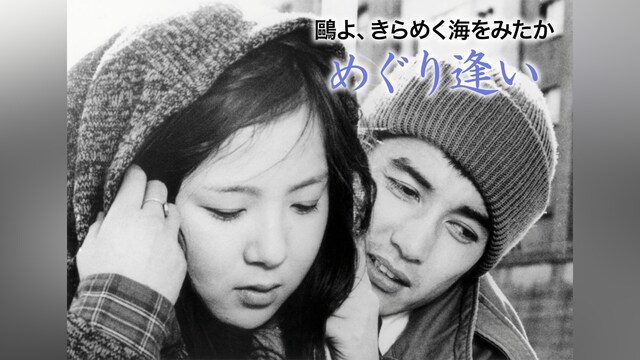 鷗よ、きらめく海をみたか めぐり逢い