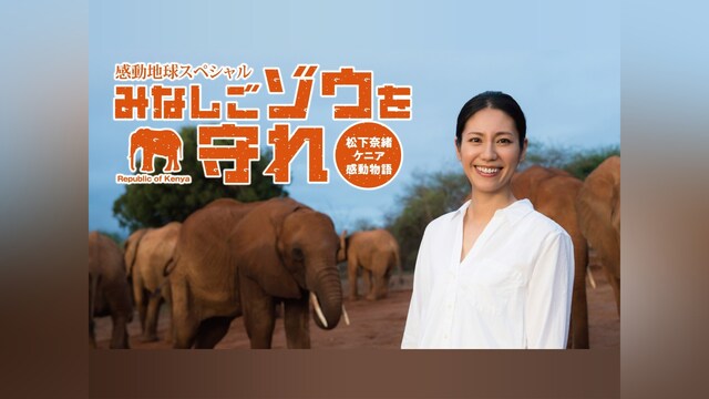 感動地球スペシャル　みなしごゾウを守れ 松下奈緒ケニア感動物語