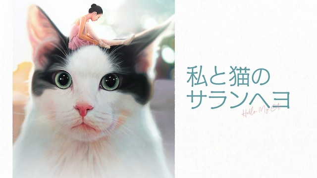 私と猫のサランヘヨ