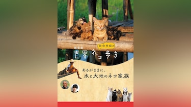 劇場版　岩合光昭の世界ネコ歩き　あるがままに、水と大地のネコ家族
