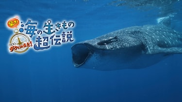 驚き！海の生きもの超伝説　劇場版ダーウィンが来た！