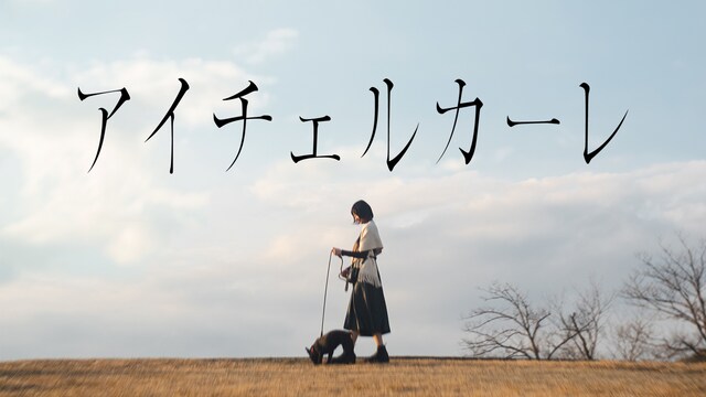 アイチェルカーレ