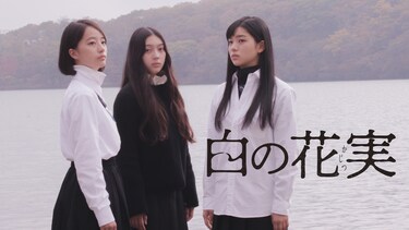 白の花実