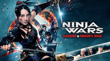 NINJA WARS ～BLACKFOX VS SHOGUN'S NINJA～
